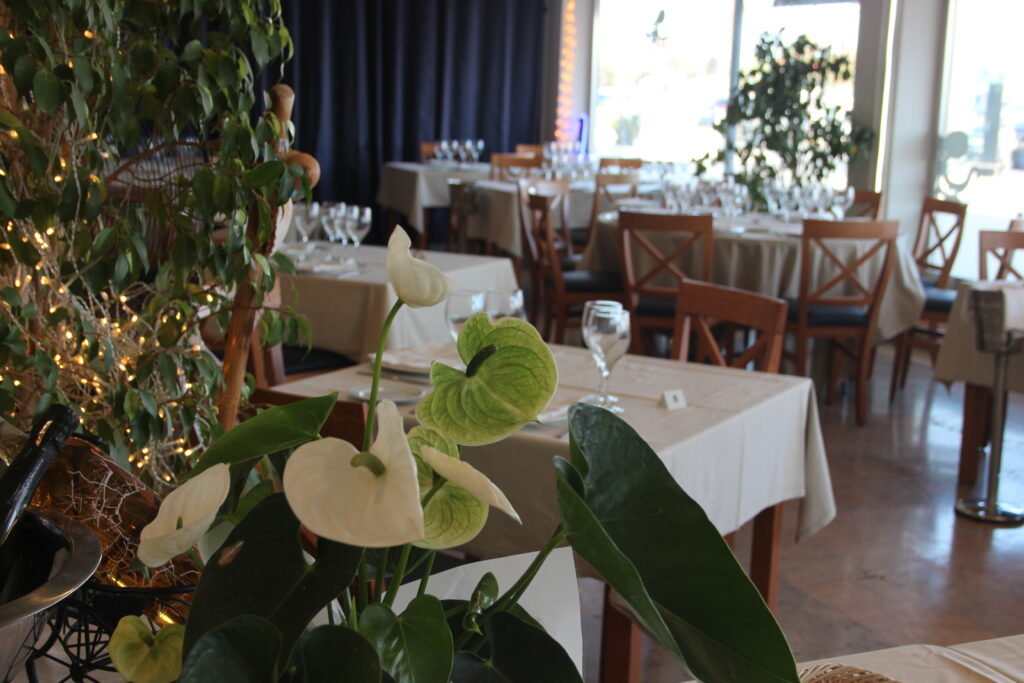 interio casa callega