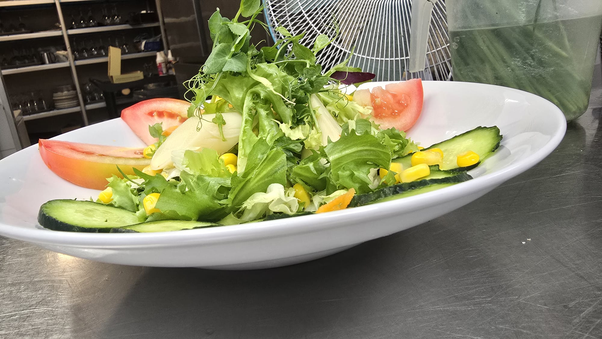 WhatsApp Image 2025-08-15 at 20.03.51 (1)